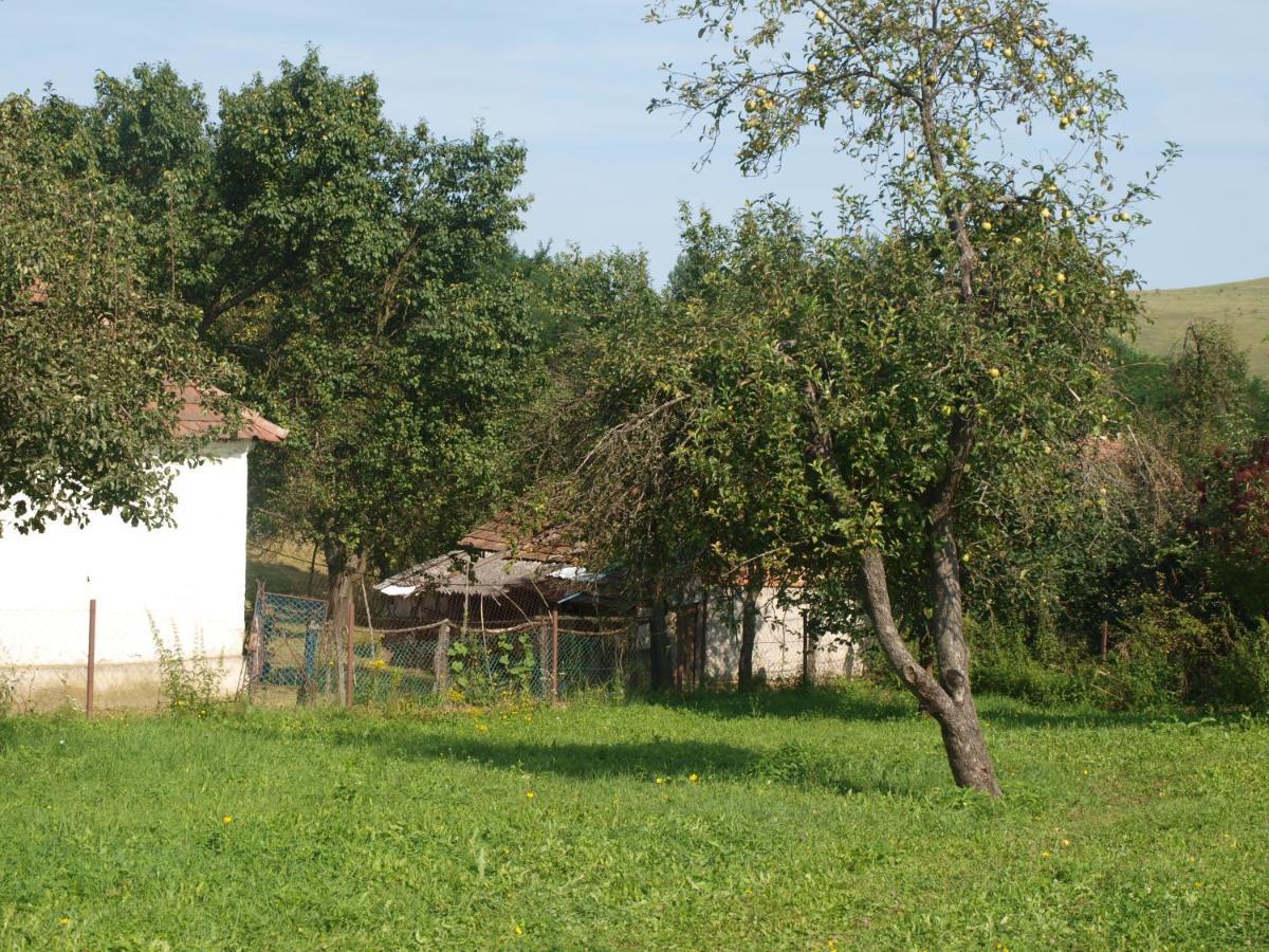 Вилла Rozsa Haz Csernely Экстерьер фото